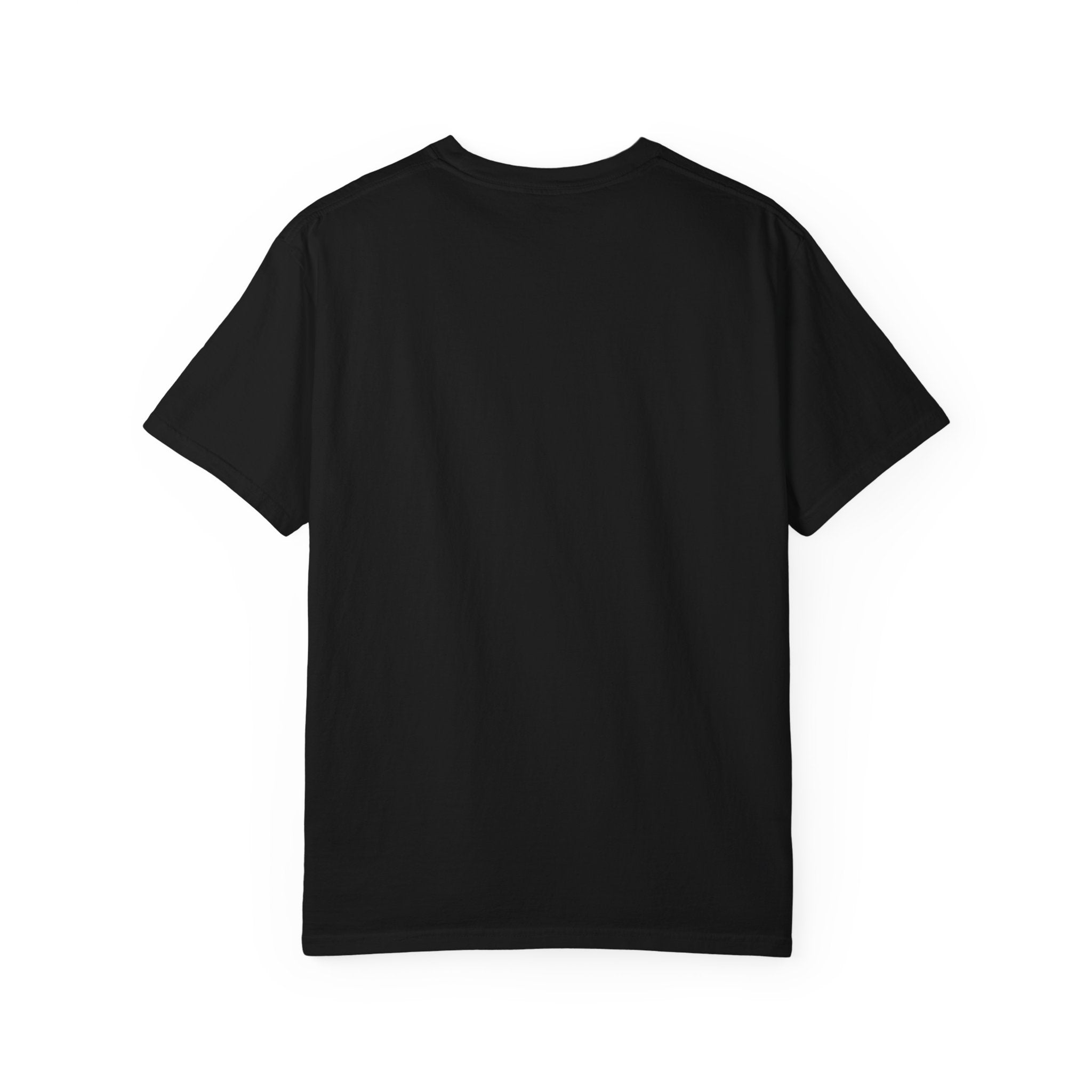 Unisex T-Shirt: Jesus Loved The Whores (WF)