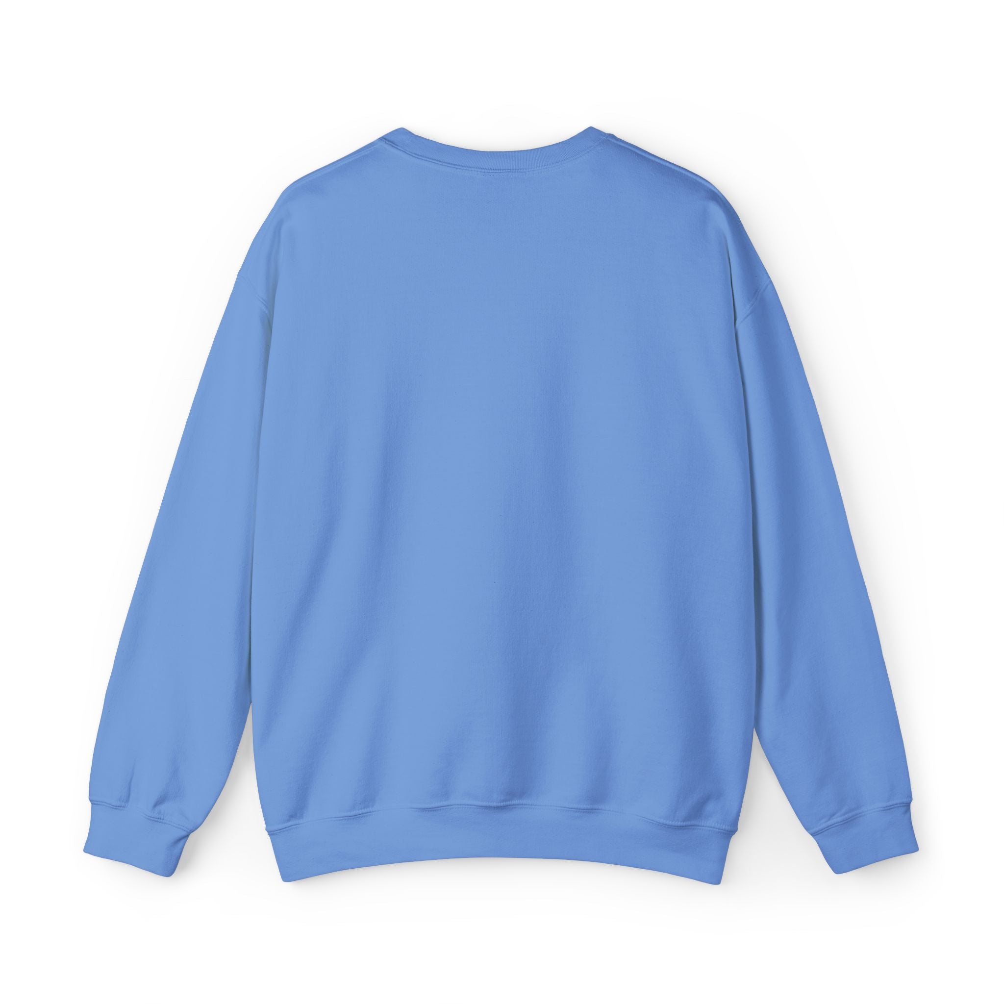 Embroidery Crew Neck: Jesus Loved The Whores (WF)